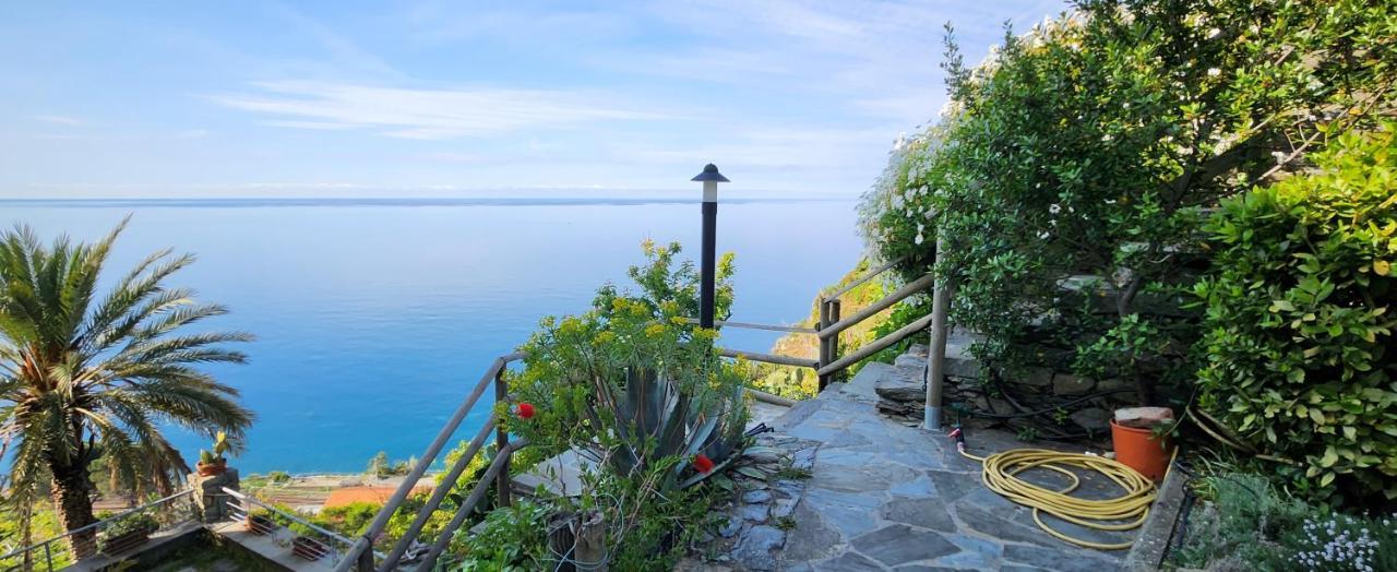 New Hanging Garden Corniglia Dış mekan fotoğraf