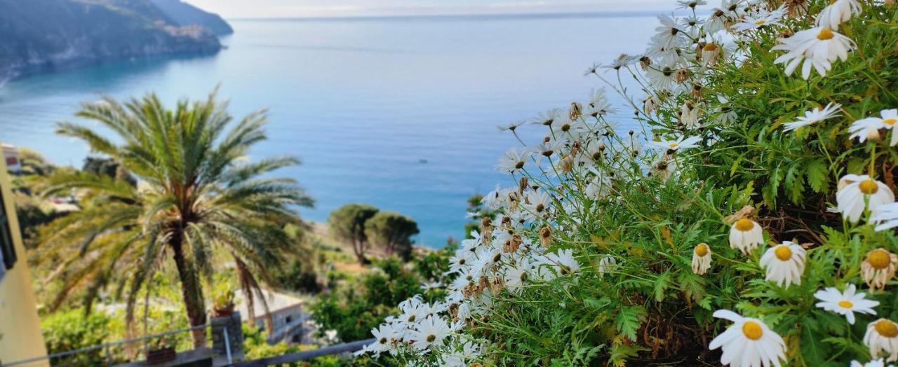 New Hanging Garden Corniglia Dış mekan fotoğraf